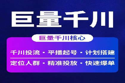 百度推广全攻略：成功案例剖析